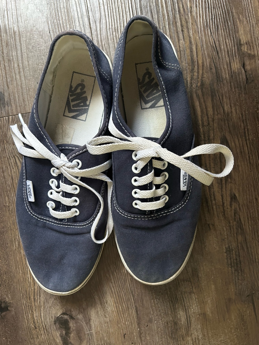 Dark blue Low-Top Canvas Vans